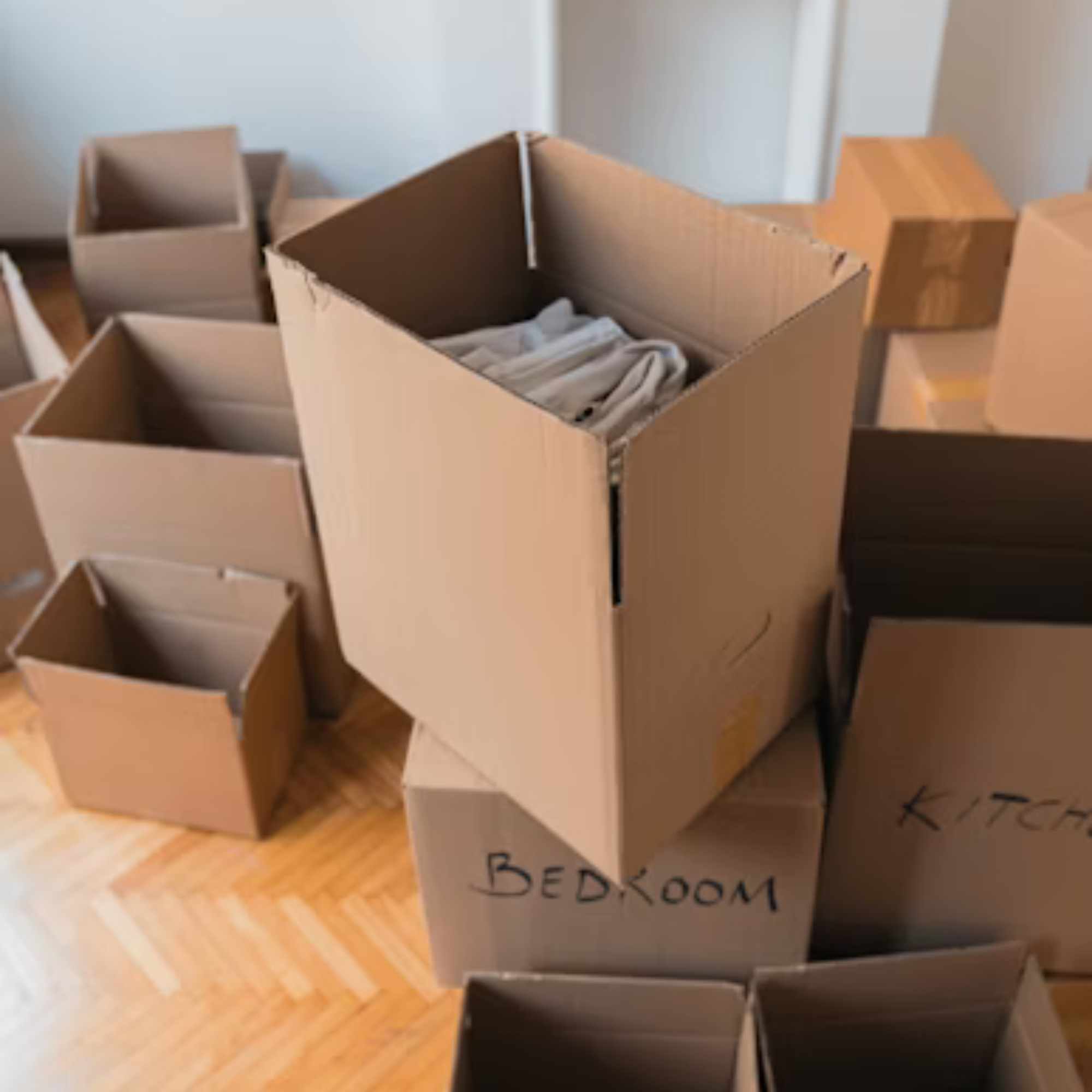 Edmonton Transit Movers